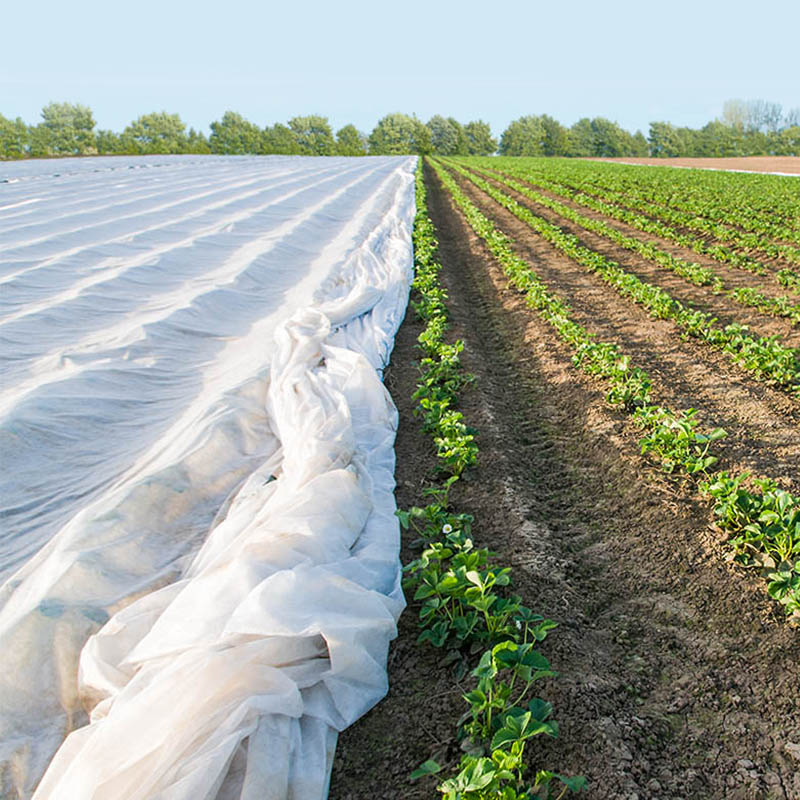 Kain nonwoven pertanian splicing ultra-selebar