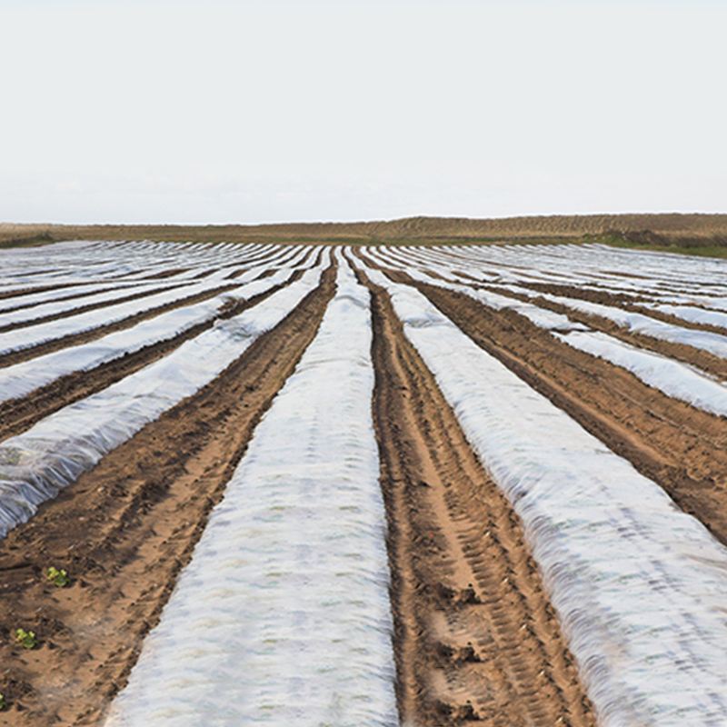 Kain nonwoven pertanian splicing ultra-selebar