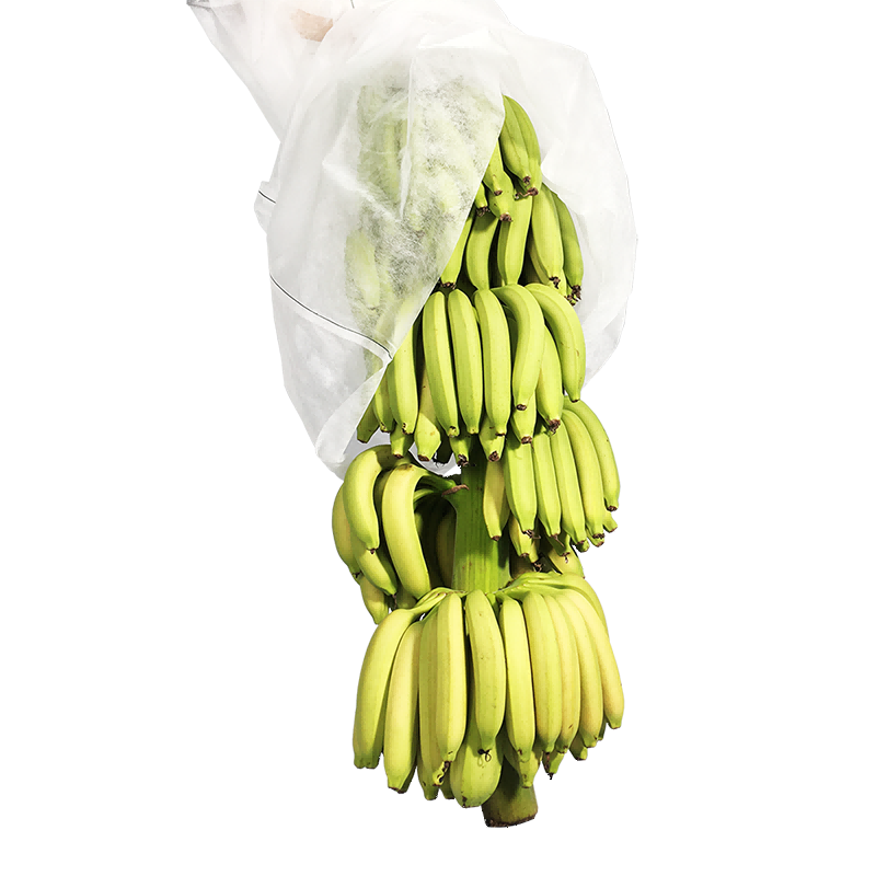 Kain Taman Tanah Tanaman Nonwoven